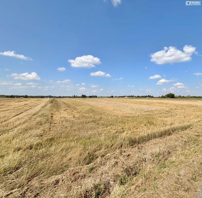 Działka rolna Radawiec Mały gm. Konopnica