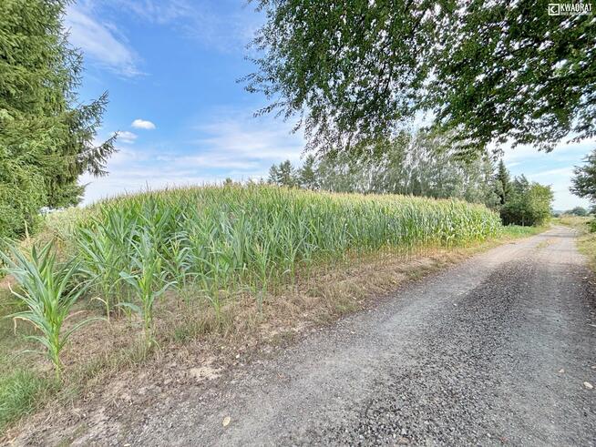 Działka rolna Strzelce gm. Nałęczów