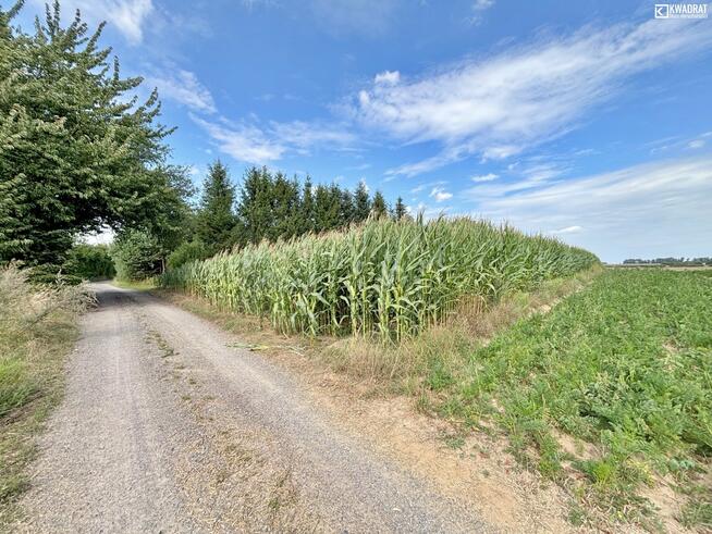 Działka rolna Strzelce gm. Nałęczów