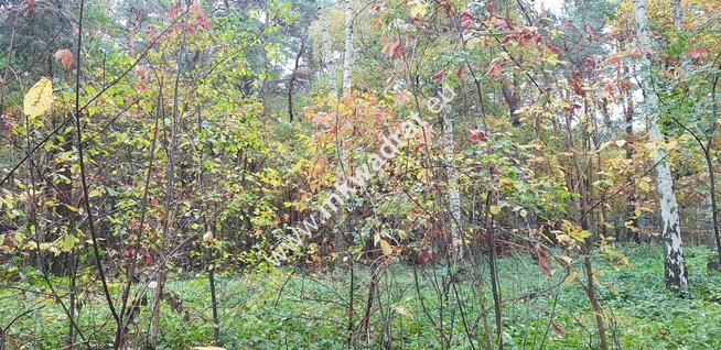 ⭐⭐⭐⭐ Działka budowlano-leśna z M-P-Z-P ⭐⭐⭐⭐