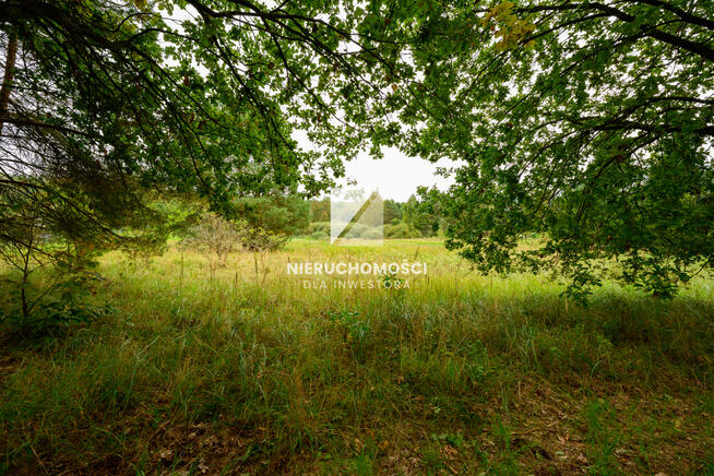Santoczno,, działka budowlana 1489 mkw przy lesie