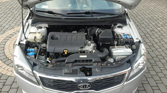 Kia Cee'd 1,6 CRDI Export