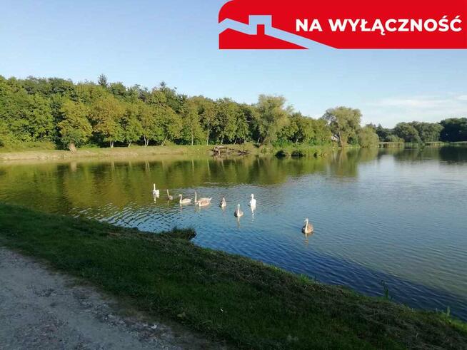 Działka o pow. 4,6 ha w Klementowicach gm. Kurów.