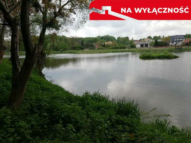 Działka o pow. 4,6 ha w Klementowicach gm. Kurów.