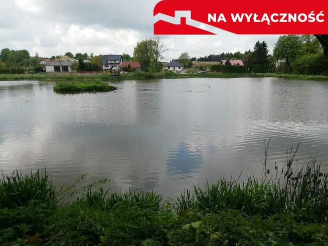 Działka o pow. 4,6 ha w Klementowicach gm. Kurów.