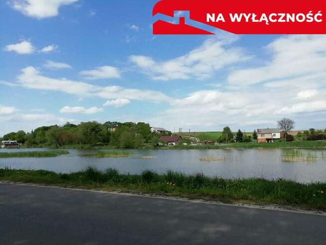 Działka o pow. 4,6 ha w Klementowicach gm. Kurów.