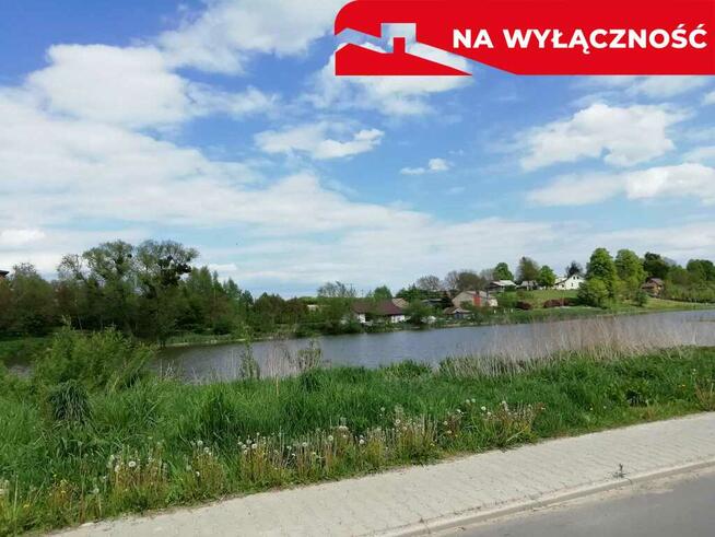 Działka o pow. 4,6 ha w Klementowicach gm. Kurów.