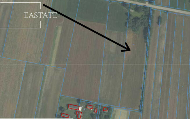 Działka rolna Głogów gm. Wieniawa Zadąbrów,