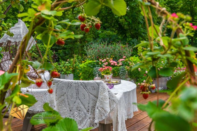Dom Chruszczów-Kolonia gm. Nałęczów,