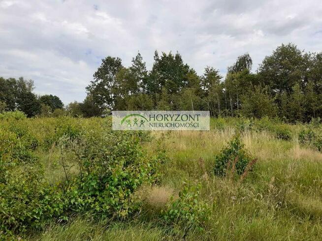 Mściszewice - działka budowlana