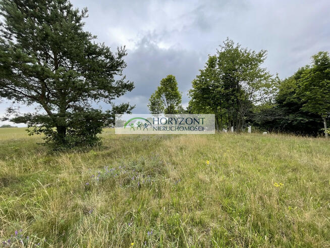 Nowa Wieś Przywidzka- dz. z panoramicznym widokiem