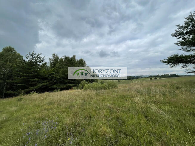 Nowa Wieś Przywidzka- dz. z panoramicznym widokiem