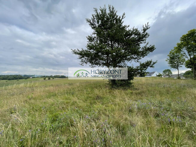 Nowa Wieś Przywidzka- dz. z panoramicznym widokiem