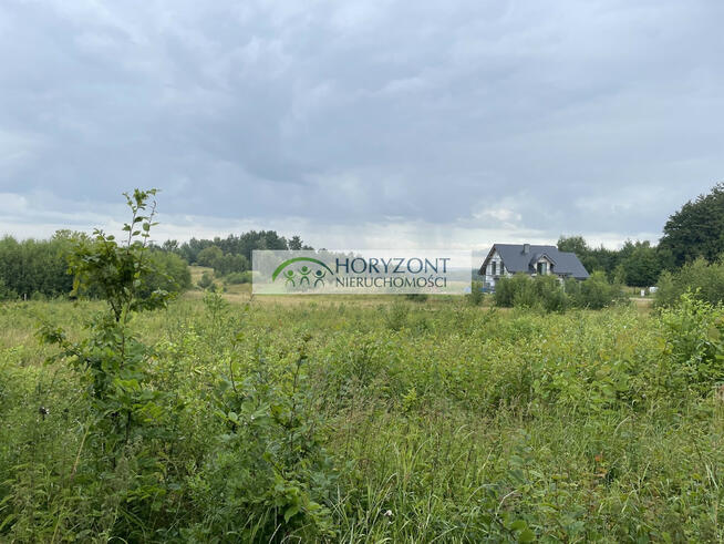 Rybaki- gmina Somonino dz. budowlana