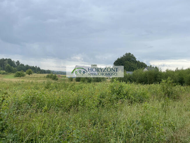 Rybaki- gmina Somonino dz. budowlana