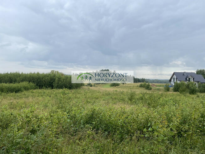 Rybaki- gmina Somonino dz. budowlana