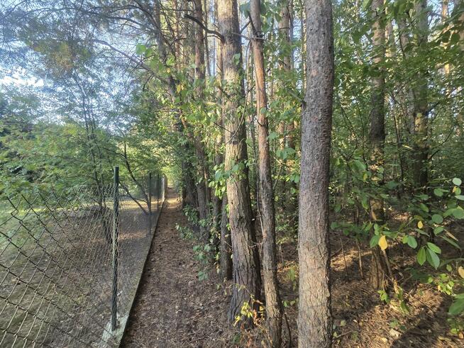 Działka budowlana Duchnów gm. Wiązowna