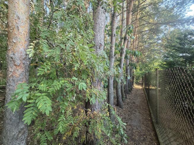 Działka budowlana Duchnów gm. Wiązowna