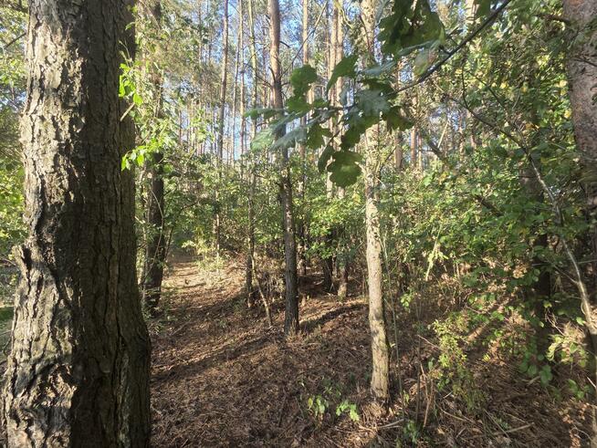 Działka budowlana Duchnów gm. Wiązowna