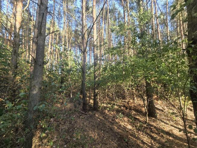 Działka budowlana Duchnów gm. Wiązowna