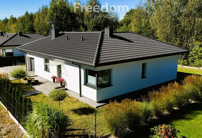 Dom wolnostojący w idealnym stanie, Skubianka!