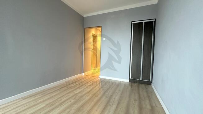 Twoja opowieść w koronach drzew