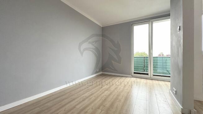 Twoja opowieść w koronach drzew