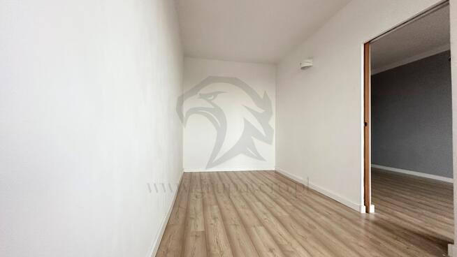 Twoja opowieść w koronach drzew