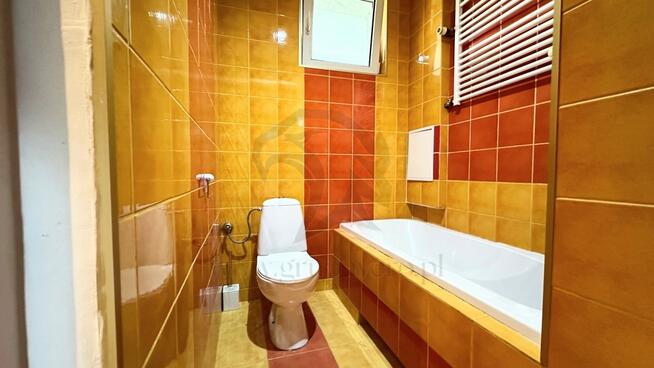 Twoja opowieść w koronach drzew