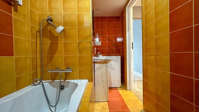 Twoja opowieść w koronach drzew