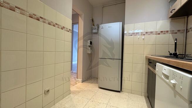 Twoja opowieść w koronach drzew