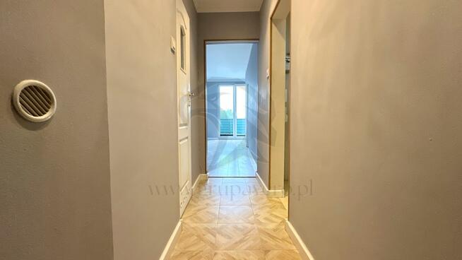 Twoja opowieść w koronach drzew