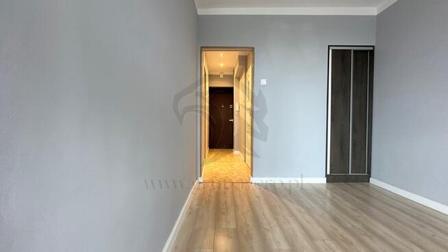 Twoja opowieść w koronach drzew