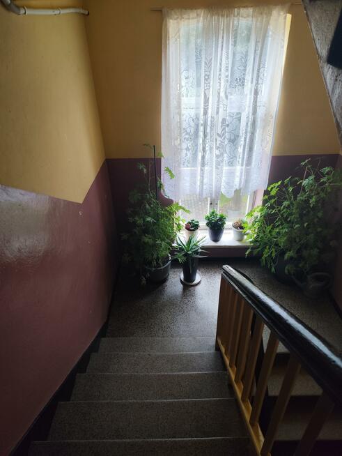 Mieszkanie Wilków gm. Złotoryja, Brata Alberta