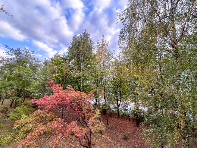 Przestronne | 3 pokoje | Gotowe do wprowadzenia!