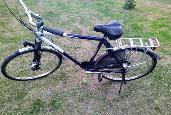 Rower męski Raleigh Priority 28 Alu Nexus 7