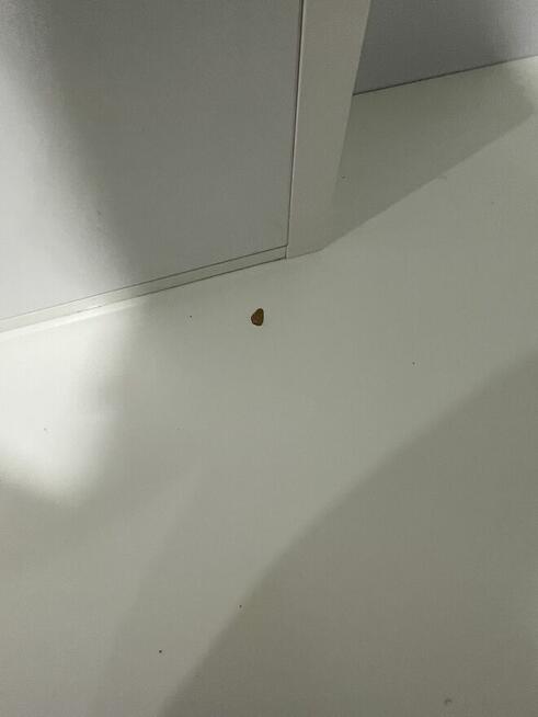 Pilnie sprzedam biurko narożne, okazja