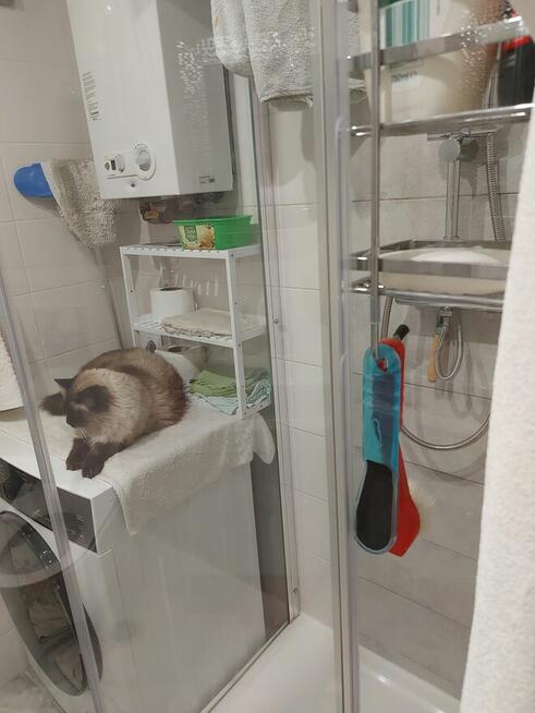 Mieszkanie M-4 na Sprzedaż