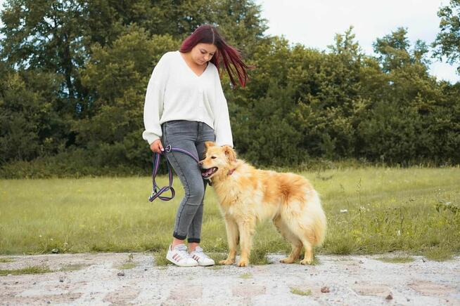 Atan – spokojny i uroczy towarzysz szuka domu