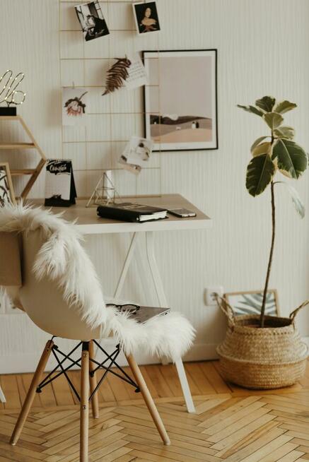 Wirtualne biuro, opiekun kont na Allegro, FB, IG, YT i inne