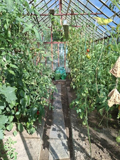 Działka Rod na sprzedaż