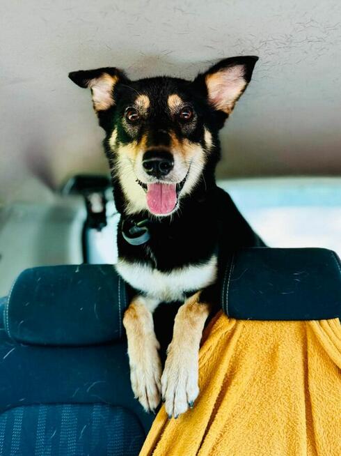 Jedna Nutka, wielkie serce – może Ty ją weźmiesz w ręce?