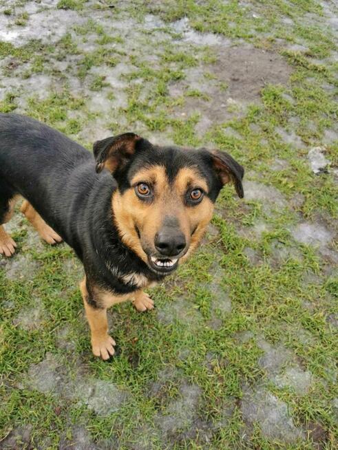 2letni Pajdek szuka swoich kompanów do zabaw