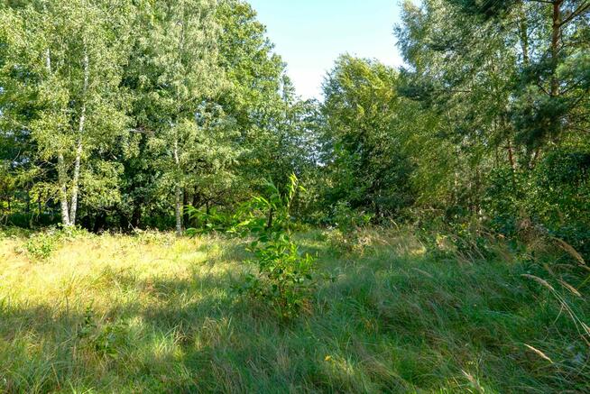 Na sprzedaż budowlana działka 5000 m z wykopanym stawem