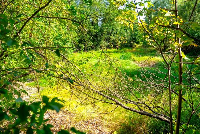 Na sprzedaż budowlana działka 5000 m z wykopanym stawem