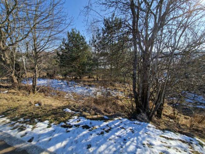 Syndyk sprzeda nieruchomość niezabudowaną - Sikorzyno