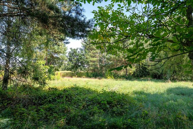 Na sprzedaż budowlana działka 5000 m z wykopanym stawem