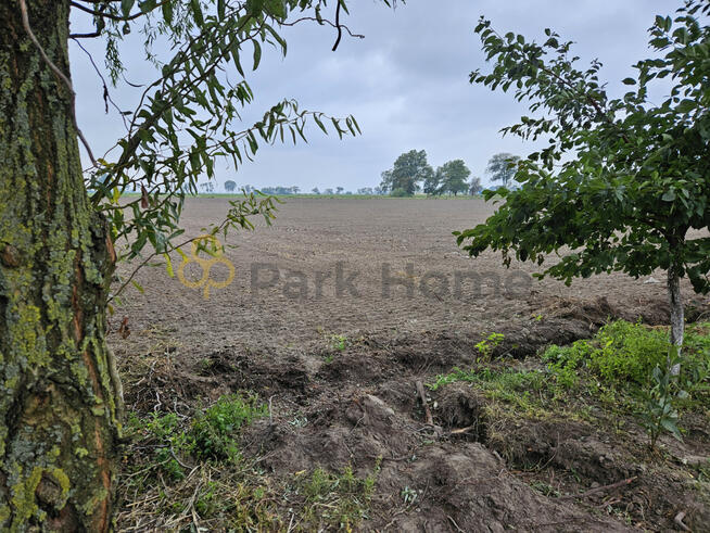 Działka budowlana Kokorzyn gm. Kościan,