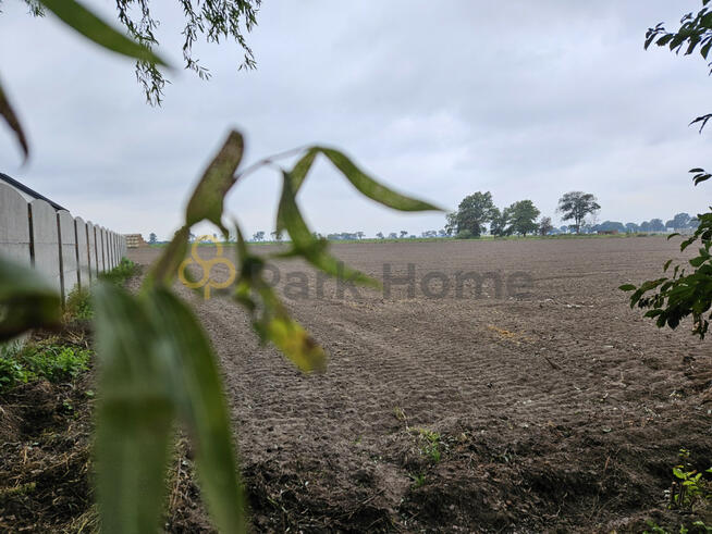 Działka budowlana Kokorzyn gm. Kościan,