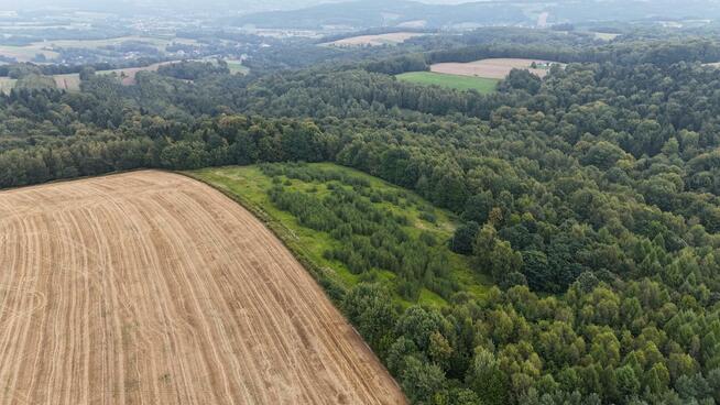 Działka rolna Nowa Wieś gm. Czudec